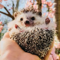 Репетитор - Броварчук Є. id:146548 Репетитор - Броварчук Є. id:146548